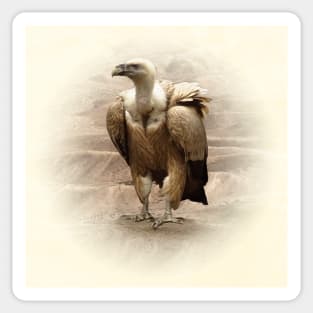 Vulture Sticker